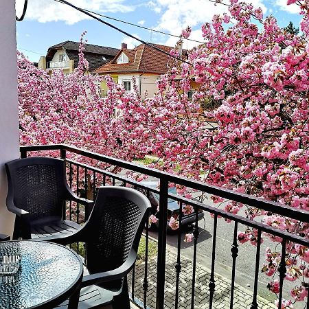 Marcipan Daire Hévíz Dış mekan fotoğraf